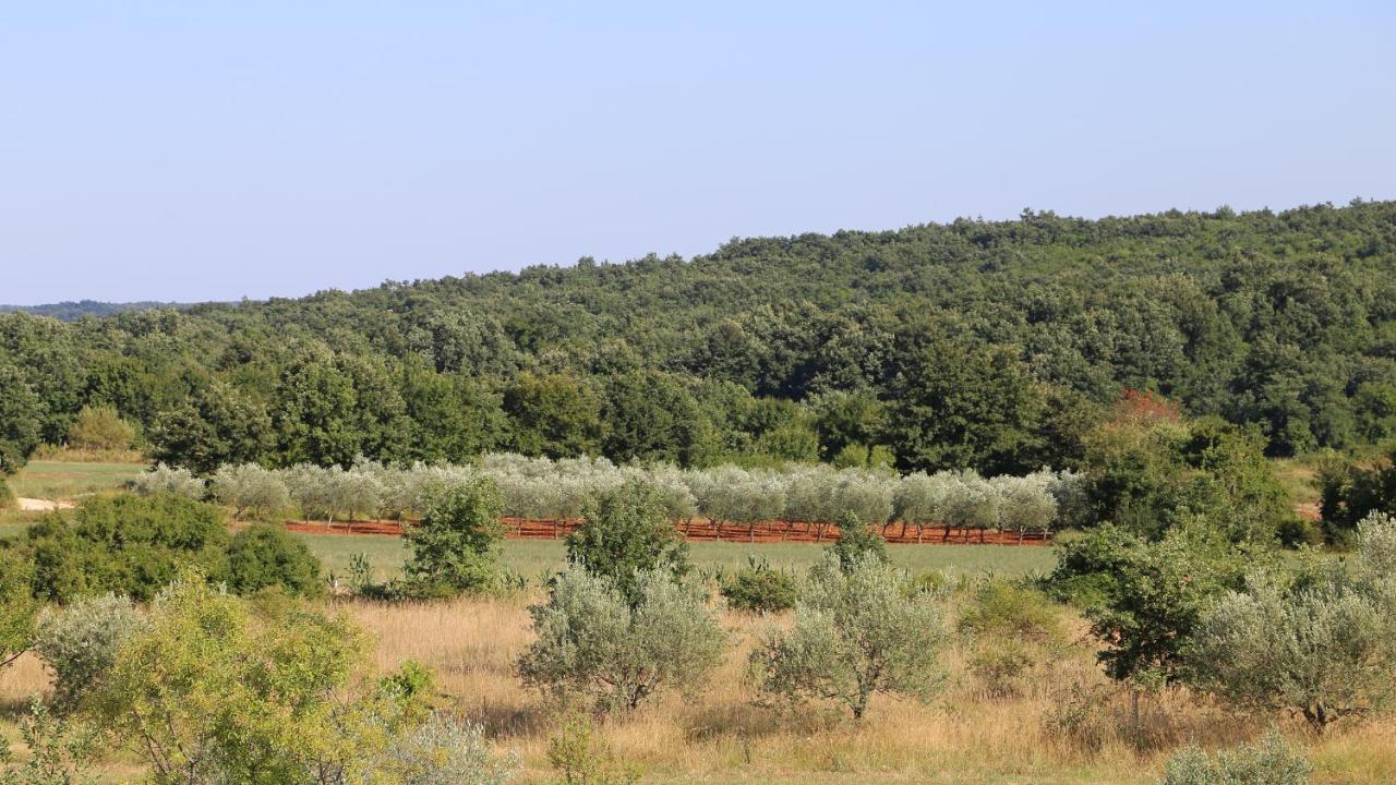 Casa Conte Istria Βίλα Kanfanar Εξωτερικό φωτογραφία