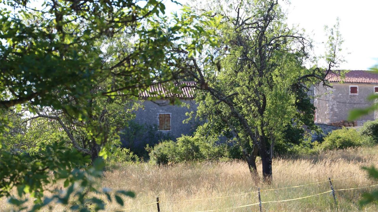 Casa Conte Istria Βίλα Kanfanar Εξωτερικό φωτογραφία