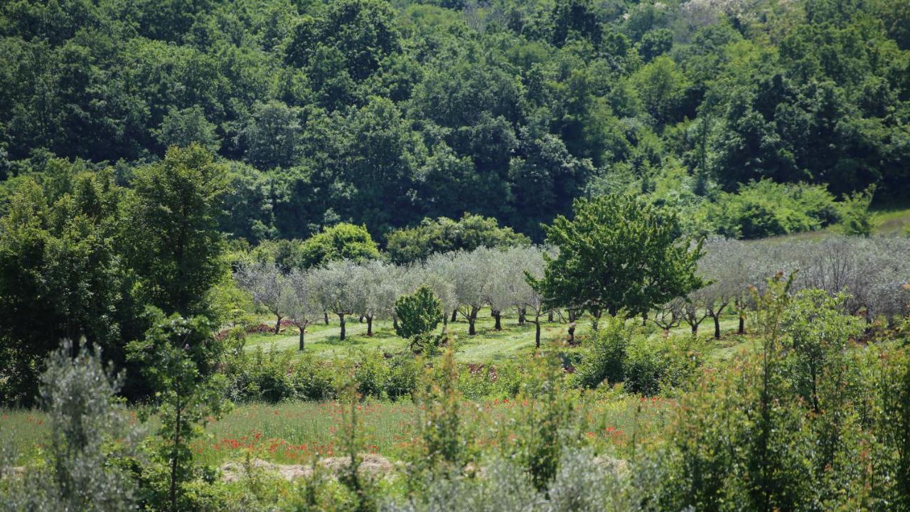 Casa Conte Istria Βίλα Kanfanar Εξωτερικό φωτογραφία