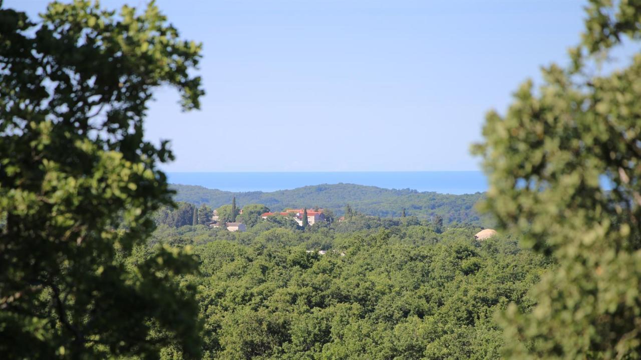 Casa Conte Istria Βίλα Kanfanar Εξωτερικό φωτογραφία